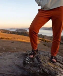 Cotopaxi Veza Adventure Jogger- Womens Hiking Bottoms