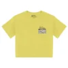 Parks Project 1963 National Parks Tour Boxy Tee Home Page