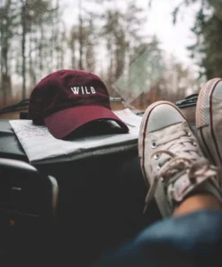 Wondery. Wondery Wild Dad Hat