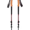 Black Diamond Home Page Trail Cork Trekking Poles- Women's
